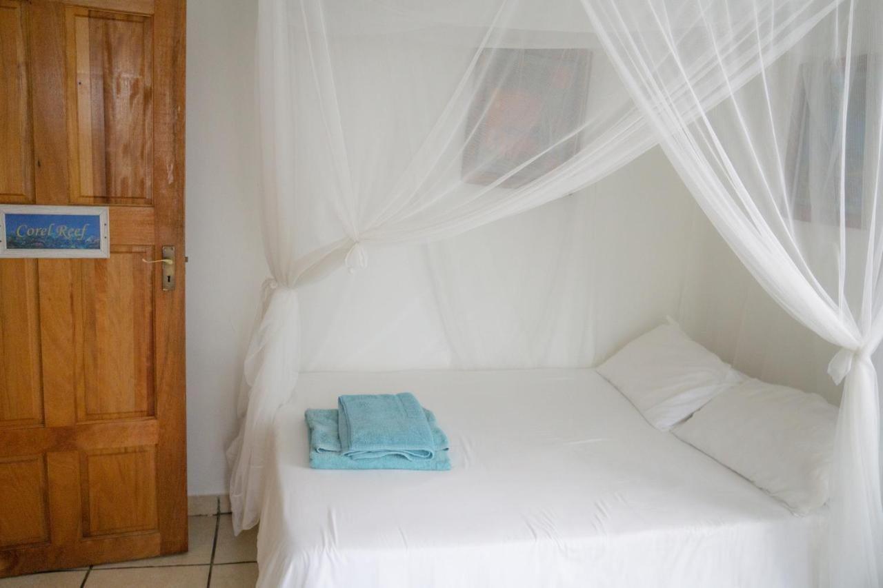 C-Mew Guest House Tofo Exterior photo
